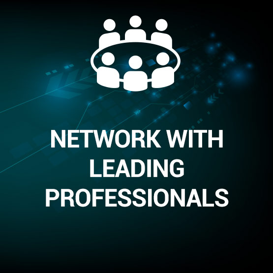 Network with Leading Professionals